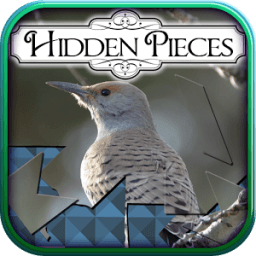 Hidden Pieces: Winter Birding иконка