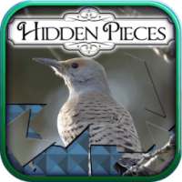 Hidden Pieces: Winter Birding logo