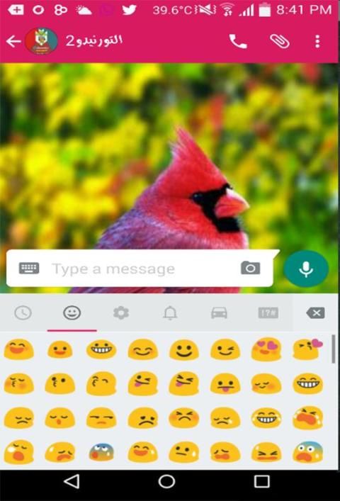 وات س اب وردي بلس الجديد screenshot 1
