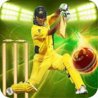 Cricket Games 2017 Free 3D
