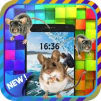 Live Mouse In Phone - Prank