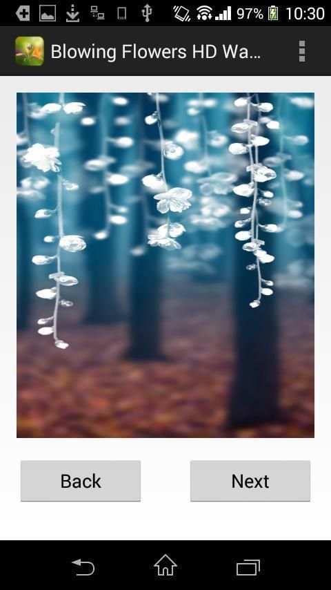 Flower Wallpaper for whatsapp скриншот 4