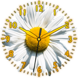 Daisy Flower Clock आइकन