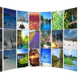 Gallery Wall 3D