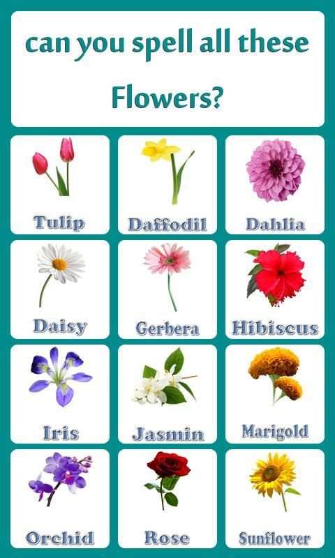 Flower Teach Zone स्क्रीनशॉट 2