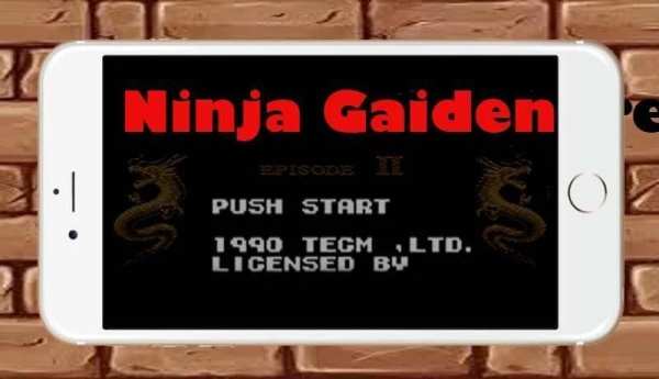 Ninja Super Gaiden 2 screenshot 4