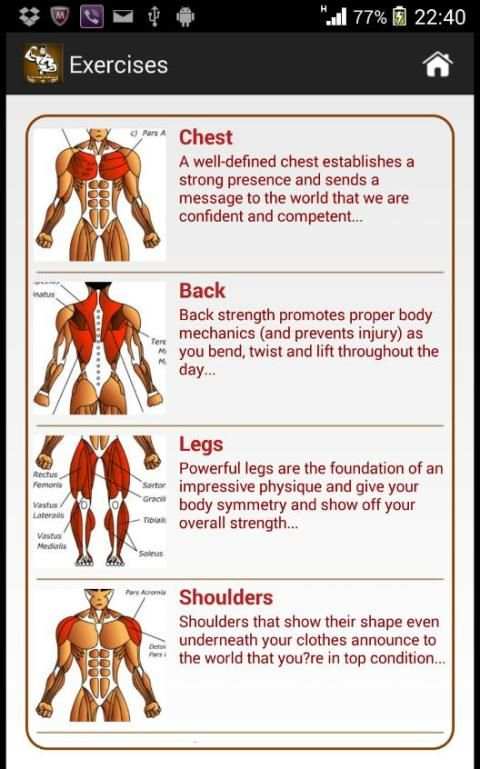 Dream Body Workout Plan स्क्रीनशॉट 4