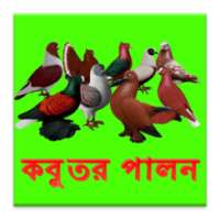 কবুতর পালন নিয়ম-কানুন on 9Apps