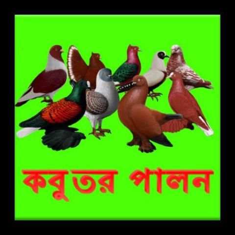 কবুতর পালন নিয়ম-কানুন screenshot 1