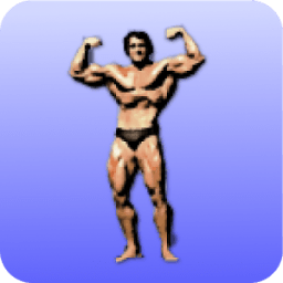 Arnold's Workout icon