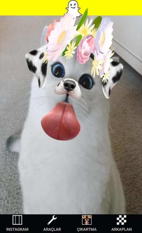 Camera Snappy Cats स्क्रीनशॉट 3