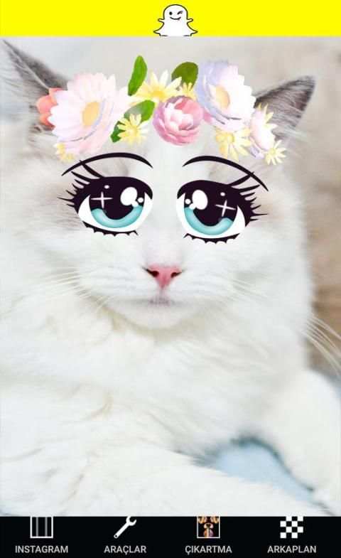 Camera Snappy Cats स्क्रीनशॉट 2