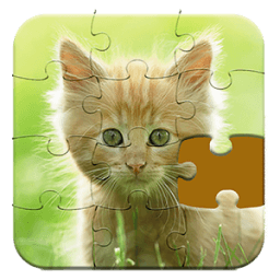 Cute Cat Puzzle icon
