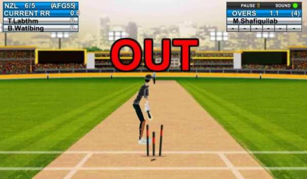 Domestic Cricket Tournament screenshot 5