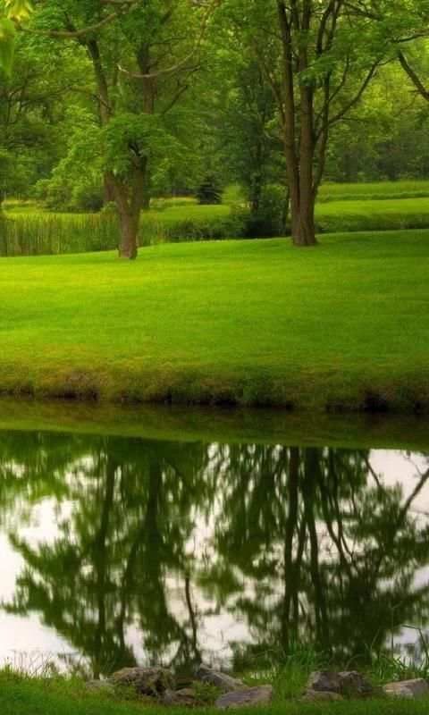 Green Nature wallpaper 4 تصوير الشاشة