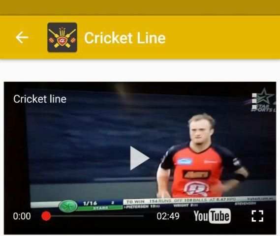 Cricket Line screenshot 2