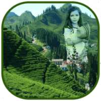 Green Hill Photo Frame on 9Apps