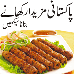 Pakistani Recipes in urduu icon
