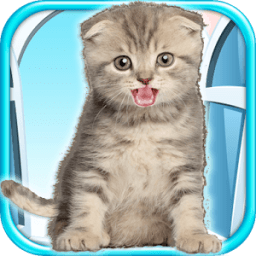 ikon Talking Kitten Play Time FREE