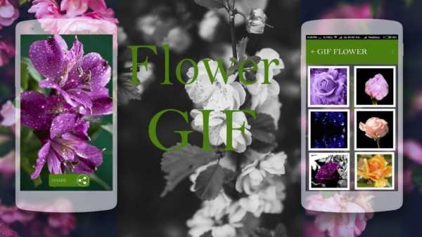 Flower GIF Collection screenshot 1