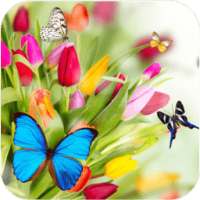 Spring Flower Wallpaper on 9Apps