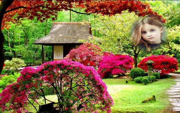 Memorable Flower Photo Frame скриншот 5