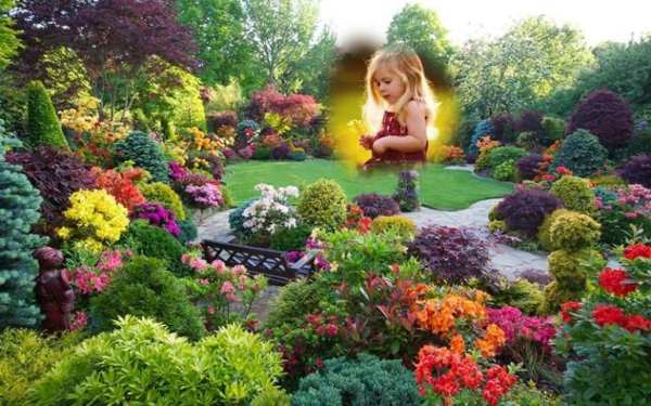 Memorable Flower Photo Frame скриншот 2