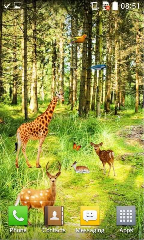 Forest HD Live Wallpaper स्क्रीनशॉट 3