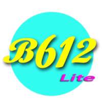 Lite Camera B+612 Editor