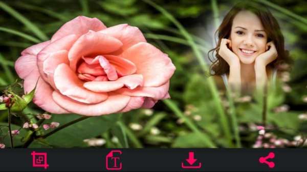 HD Photo Frames - Flowers 5 تصوير الشاشة