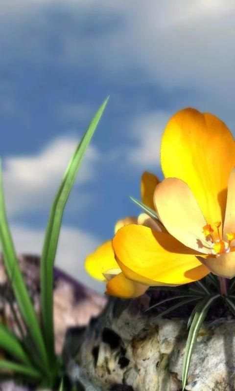 Nature Live❁ Spring Flowers 3D скриншот 5