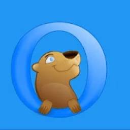 Internet Browser 2020 1.0.4