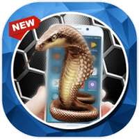 Snake Screen In Phone Prank