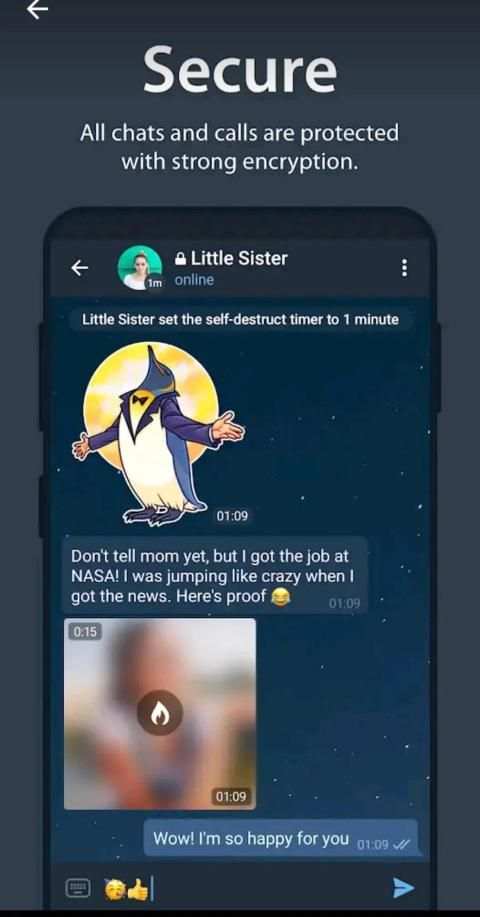 Telegrant Messenger screenshot 6
