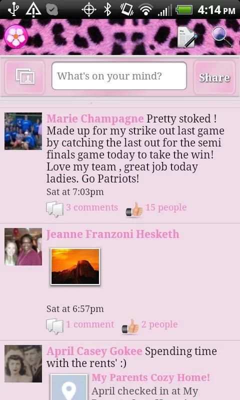 Cheetah Theme for Facebook screenshot 5