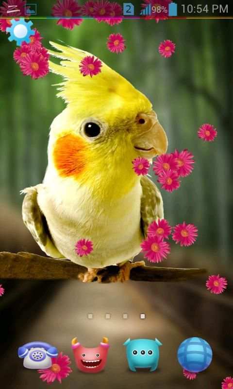 Birds Live Wallpaper 3D स्क्रीनशॉट 2