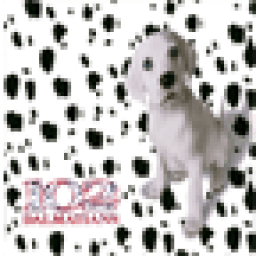 102 Dalmatians Wallpapers icon
