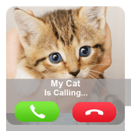 Fake Call Cat иконка