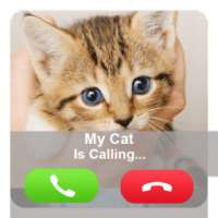 Fake Call Cat
