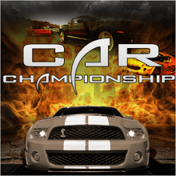 Car Racing Championship 3D иконка