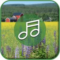 CountrySide Sounds on 9Apps