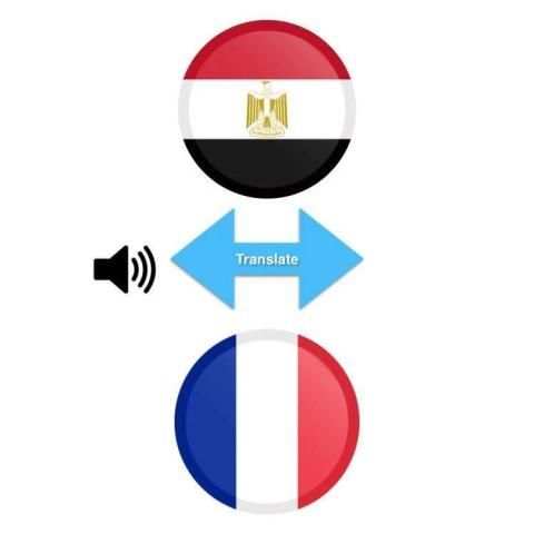 Arabic French Translator screenshot 2