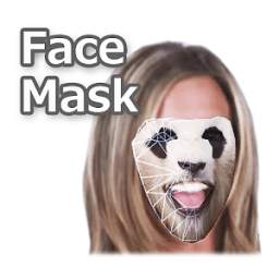 FaceMask Example