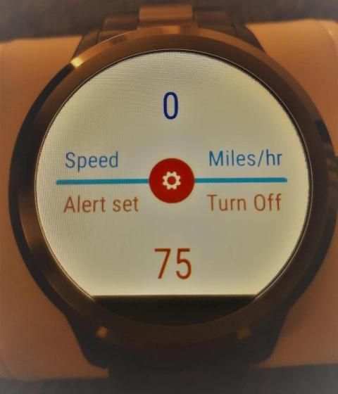 Speed Watch screenshot 3