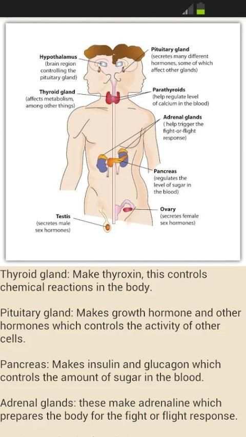 GCSE Additional Science - OCR screenshot 4