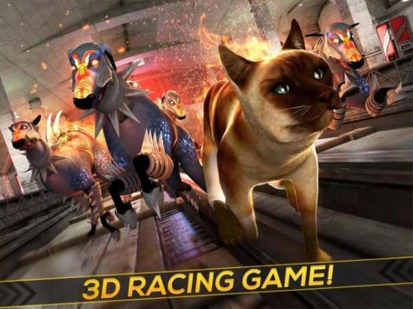 Oh My Cat! - Subway Race screenshot 6