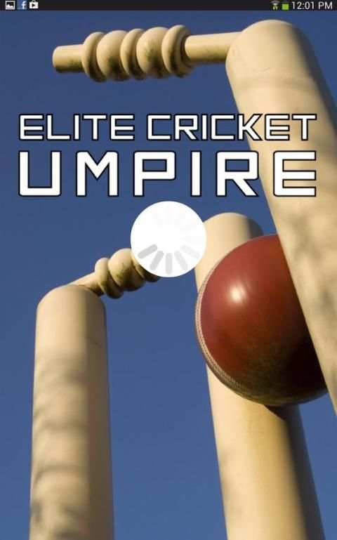 Elite Cricket Umpire screenshot 9