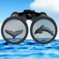 See & ID Dolphins & Whales on 9Apps