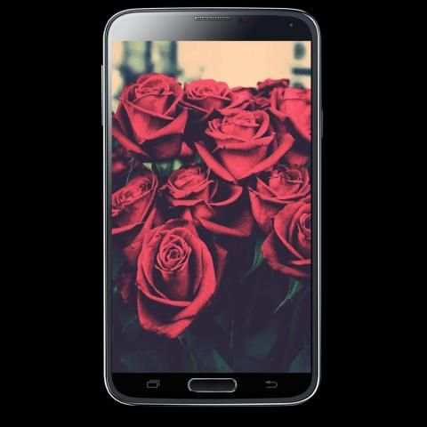 موسوعة صور ورود screenshot 5
