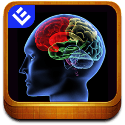 ikon Cool Facts about Brain